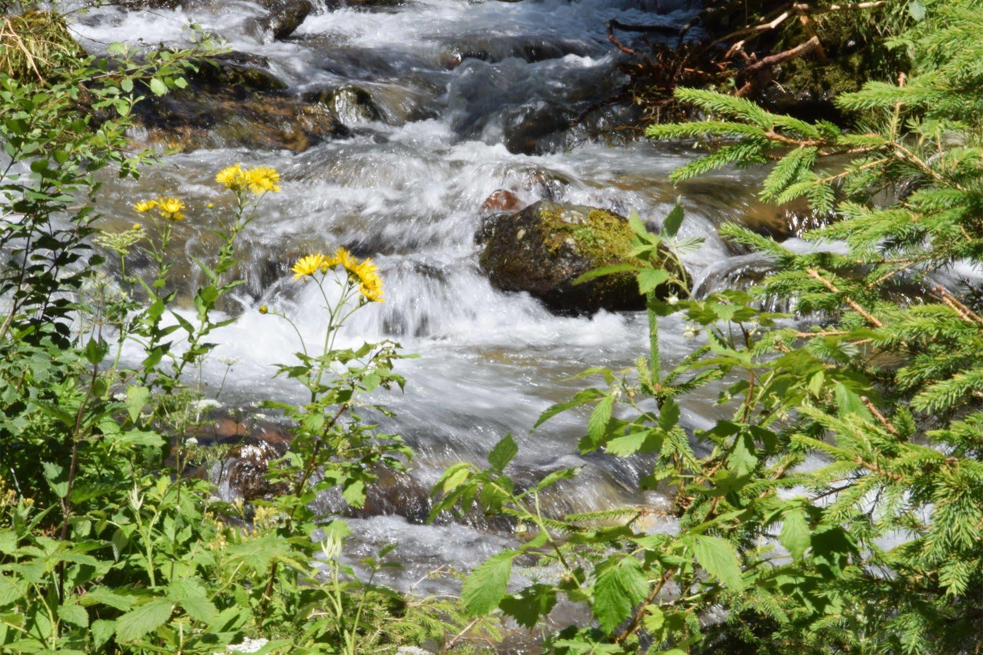 Hotel Laurenzhof Lendorf エクステリア 写真